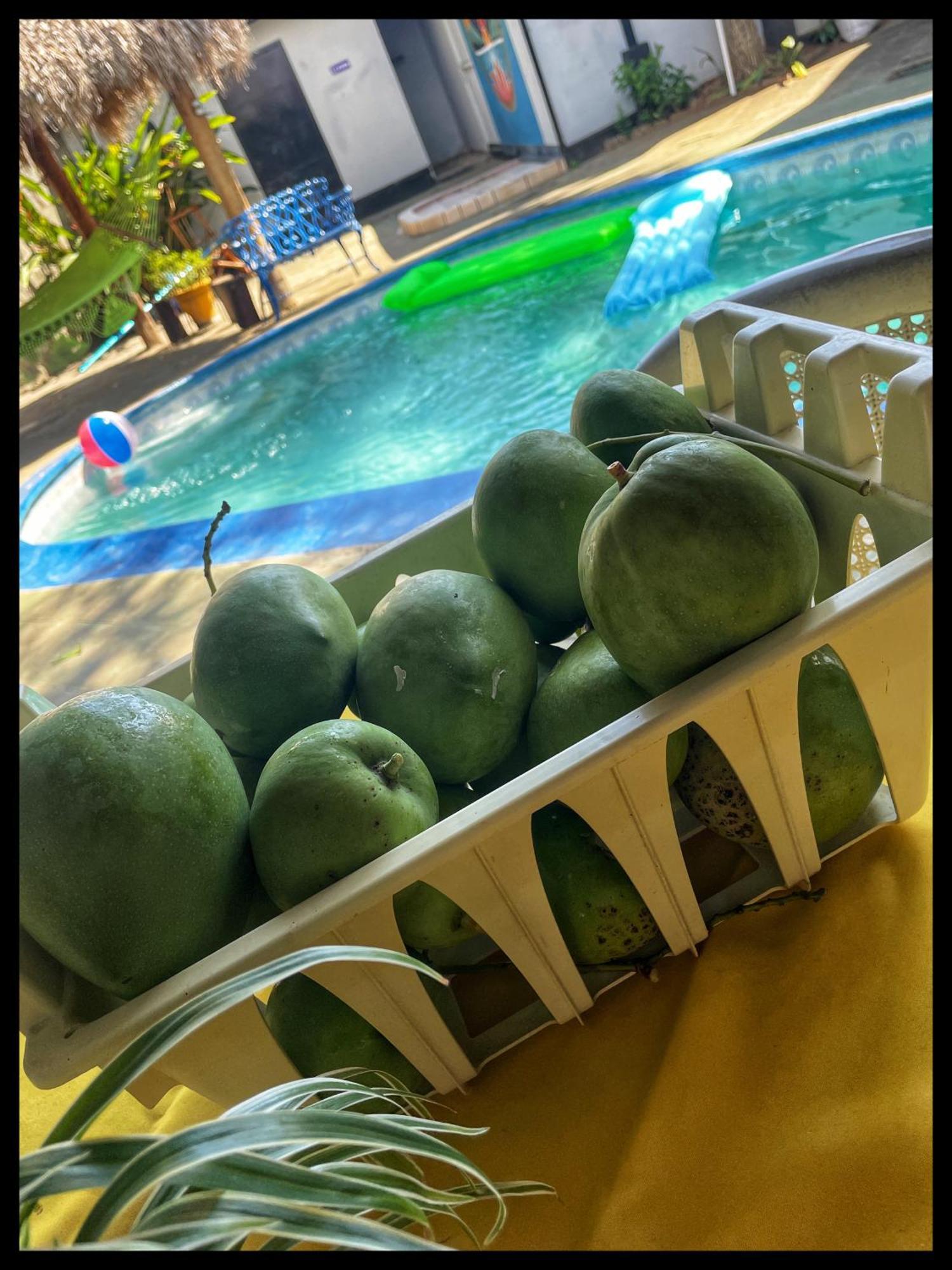 Managua Hotel Oasis 외부 사진